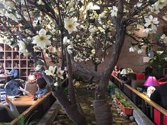 -山有花啡餐厅(常营总店)