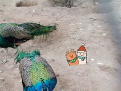 -太原动物园