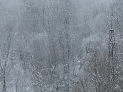 -亚布力新体委滑雪场