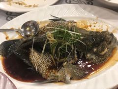 清蒸花斑鱼-岭南海晏楼(东晓南店)