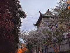 -武汉大学-樱园
