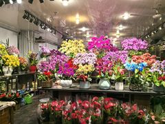 -双季花艺园艺市场(浦东店)