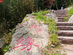 -石老人观光园