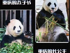 -无锡动物园·太湖欢乐园