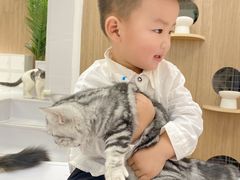-COLOR PETS 撸猫馆·购猫·猫咖(长风大悦城店)
