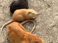 -水上乐园·欢乐世界