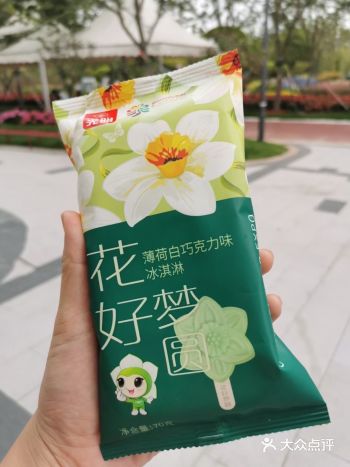 在上海崇明成功举办了花博会 来这里参观的人好多