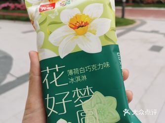 在上海崇明成功举办了花博会 来这里参观的人好多