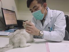 -宠颐生东兴动物医院(大悦城店)