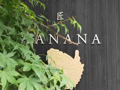 -鯛匠 HANANA