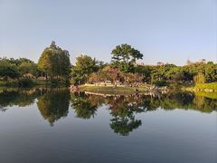 -四海公园(南山区)