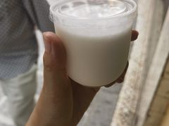 -洪馨椰子