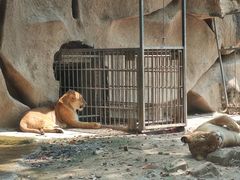 -荆州中山公园动物园