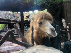 -长鹿旅游休博园