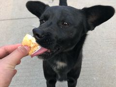 -味之酥(泰富时尚购物中心中大街店)