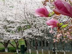 -白塘生态植物园