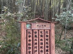-杭州半山国家森林公园-龙山公园