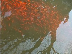 -白马涧龙池景区