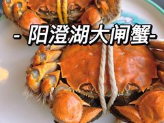-蟹天蟹地农家菜·阳澄湖大闸蟹(浅水湾店)