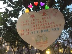 -西北湖绿化广场