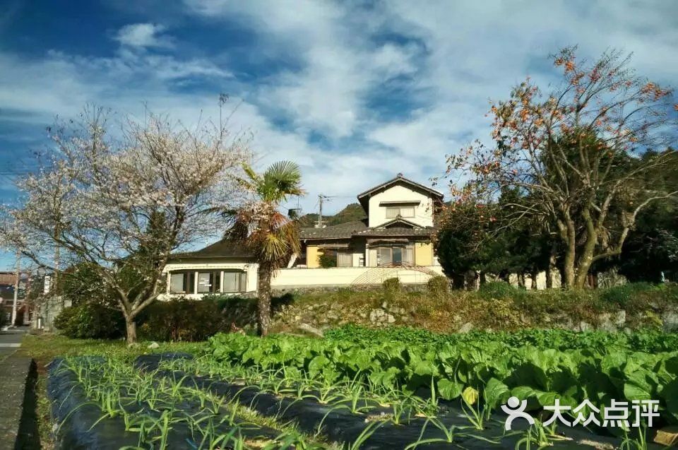 大原                 逢简水乡