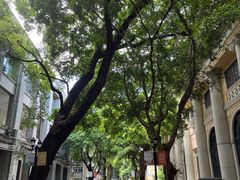 -星巴克臻选(广州沙面店)