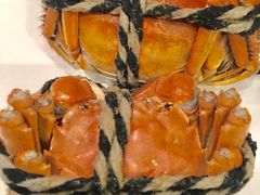 -龙之梦万丽酒店青餐厅