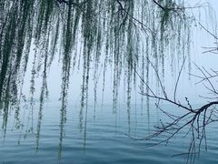 -西湖天地
