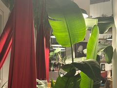-雕刻时光咖啡馆(北师大店)