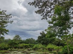 -中国科学院西双版纳热带植物园