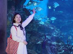 -海合安成都极地海洋公园