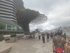 -星光大道