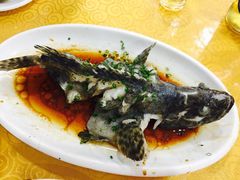 -南海渔家•海鲜•正宗海南菜(海棠湾店)