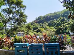 -广东惠东海龟国家级自然保护区