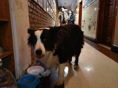 -哈尔滨北方国际青年旅舍(中央大街店)