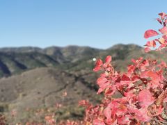 -北京西山国家森林公园