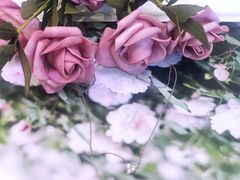 -Tiffany & Co.蒂芙尼
(天津万象城店)