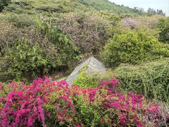 -小南山公园