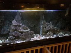 -石葵(锦业时代店)