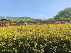 -盈香心动乐园