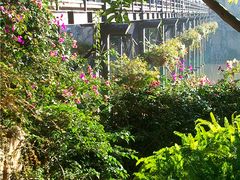 -世界恐龙谷景区