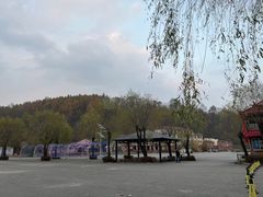 -黄椅山火山森林公园