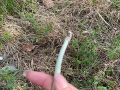 -美人谷景区