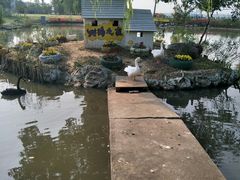 -鹅湖玫瑰文化园