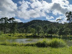 -海南热带雨林国家公园吊罗山景区
