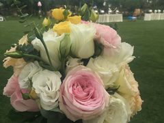 -桃园农庄·桃源宴