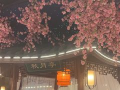 -荷塘秋月·本帮江浙菜(国权路店)