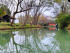 -西溪国家湿地公园