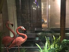 -星聚会KTV(景枫中心店)