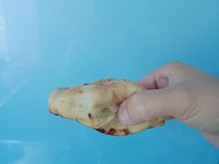 馕坑烤包子-西域阿里马新疆菜·清真(桂花路店)